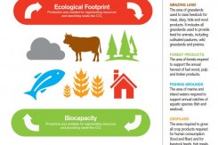 Foto: WWF,GFN