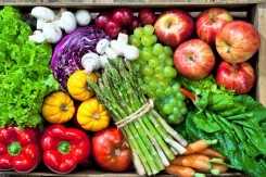 Foto: Prijatelji životinja