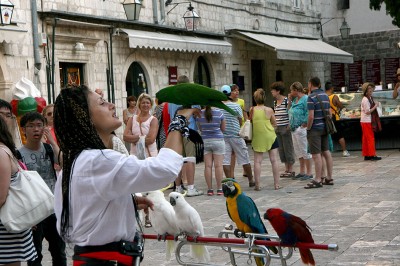 Hrvatska od turizma godišnje uprihodi 8 milijardi eura, foto: M.K.