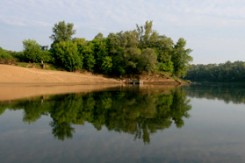sava.jpg