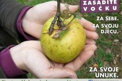 vocka.jpg