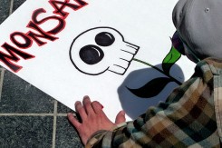 Foto: Donna Cleveland