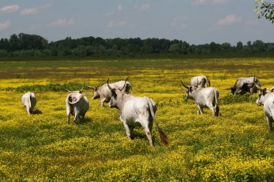 Foto: Marina Kelava<br>