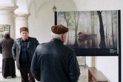 Foto: Zelena akcija
