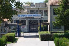 dalmatinka1.jpg