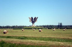 jasenovac_foto_tamara_opacic_copy93393.jpg