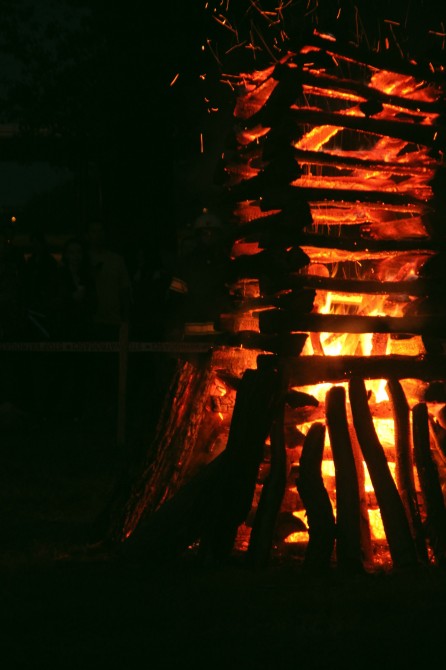 kresovii29_ip.jpg