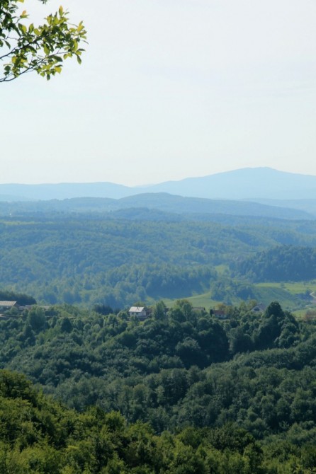 Modruš.