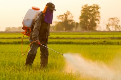 Foto: Zaprašivanje glifosata, healthygutbugs.com<br>