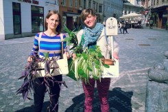 Fotografije:&amp;nbsp;Arhiva Zavetišča za zavržene rastline<div><br></div>