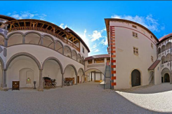 tff.png