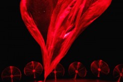 vortex_cie_non_nova_c_jean_luc_beaujault.jpg
