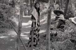 Foto: Uspavanka za tužnu misteriju