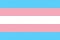 transgender_copy96061.jpg