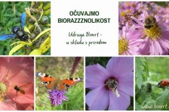 ocuvajmo_biorazzznolikost_medijima.jpg