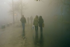 smogic_copy75731.jpg