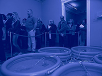 dravaartbiennale.jpg