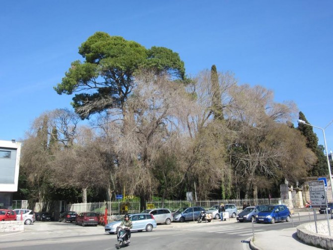 parkgaragnintrogir2.jpg