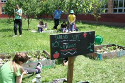 Foto: Vestigium