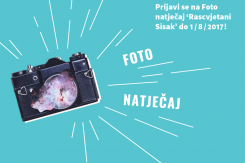sisak.png