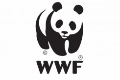 wwf_logo_copy75941.jpg