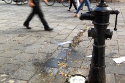 Foto: Mirela Šavrljuga