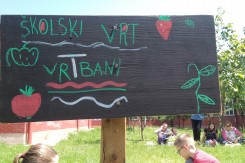 20160521_123359.jpg