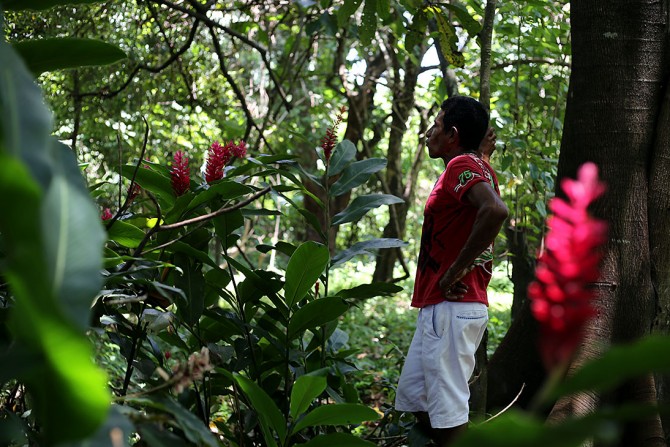 Around 50 meters from Elisana Sanchez's house there is a small nature reserve, a sort of botanical garden that one of the companies planted as compensation for destroyed habitats around the mines.