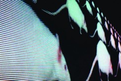 Foto: Gazda Početak