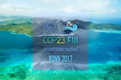 xcop23head.png.pagespeed.ic.egq685xwjc.jpg