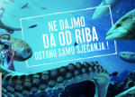 ribe.png
