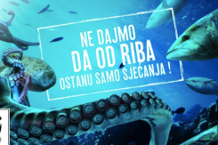 ribe.png