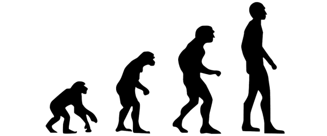 evolution_2780651_960_720_copy18034.png