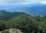 Nacionalni park Shebenik-Jabllanicë u istočnoj Albaniji je oaza prastarih bukovih šuma i stanište rijetkih životinjskih vrsta kao što su suri orao i ugroženi ris, Foto: Gabriel Schwaderer, Euronature