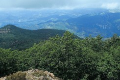 Nacionalni park Shebenik-Jabllanicë u istočnoj Albaniji je oaza prastarih bukovih šuma i stanište rijetkih životinjskih vrsta kao što su suri orao i ugroženi ris, Foto: Gabriel Schwaderer, Euronature