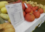 Eko certifikat, foto: HSEP