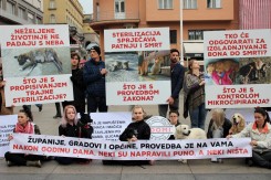 Foto: Prijatelji životinja