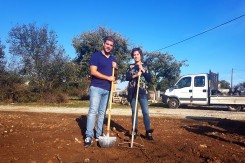 Načelnik Općine Vrsi Luka Perinić i Ana Škara sade smokve (Foto: LAG Bura)