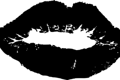 affection_1294965_960_720.png