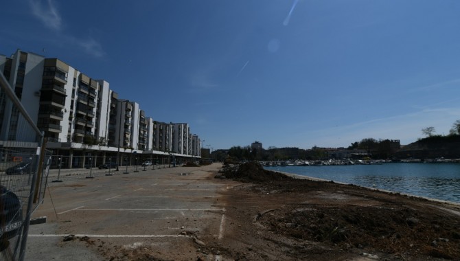 palme_zadar_057info.jpg