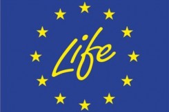 life_logo_odraz.jpg