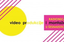 radionica_video.png