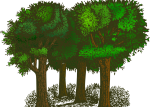 Foto: Pixabay