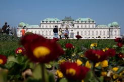 Belvedere, Foto: M. Lang