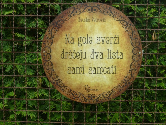 Haiku Petrović