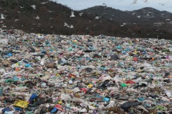 smece_grabovica_dubrovniknet.jpg