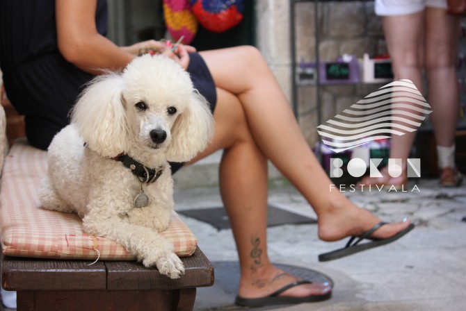 <p class="western" style="margin-bottom: 0cm; line-height: 100%"><i>Dizajn
loga, plakata i ime festivala osmislio je Toni Košćina koji
sudjeluje i u osmišljavanju programa.</i></p>