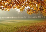 Park u jesen – Foto: S. Dobrić Žaja