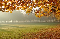 Park u jesen – Foto: S. Dobrić Žaja