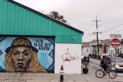 Fotografije: Tajana Sisgoreo